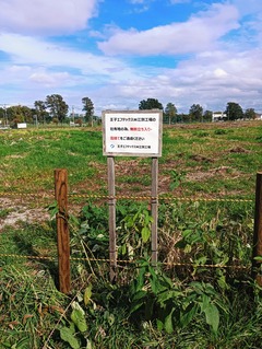 20251007Wakakusacyo5