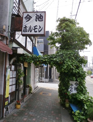 20170514ImaikeHorumon