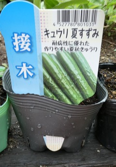 20260507Nae6