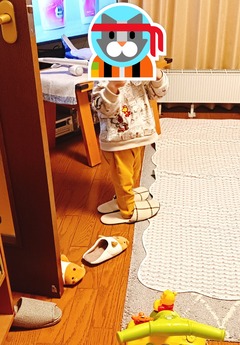 20260503slipper3