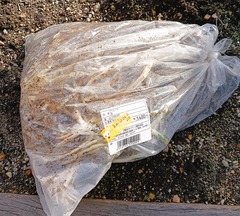 20260419ToyaMizunoeki3