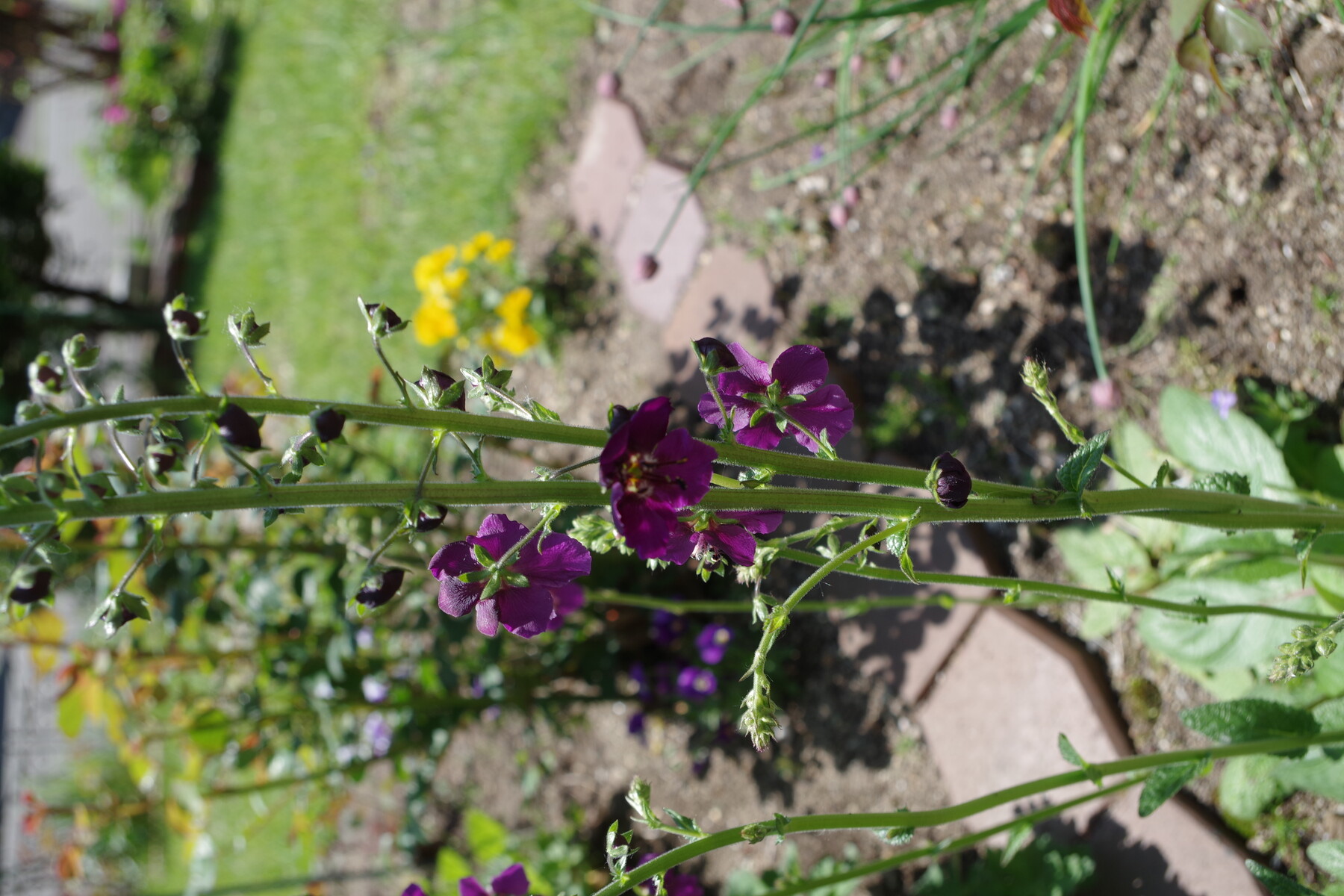 週末に雨が多いのは 単なる偶然らしい Anon 白い花 新 読後充実度 84ppm のお話 週末に雨が多いのは 単なる偶然らしい Anon 白い花 新 読後充実度 84ppm のお話