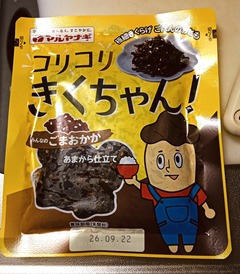 20260804Kikucyan