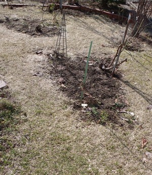 20210410Garden1