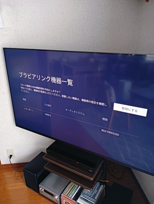 20250308BRAVIA4