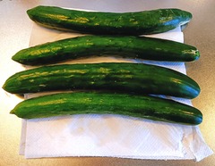 20250823cucumber