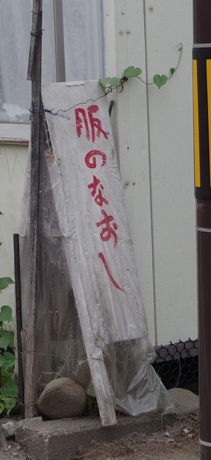 IMGP1009