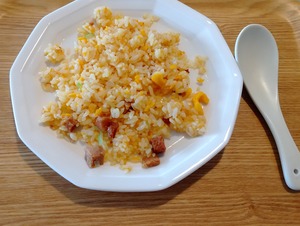 20241008CyahanHonkaku