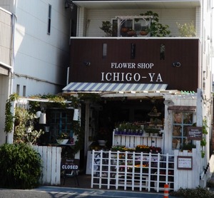 20190526ICHIGOYA