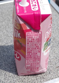 20240504PiknikIchigo2