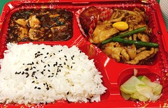 20250729TenshinSapporo2