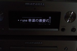 IMGP2228