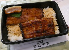 20260805Miyagawa2
