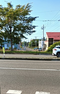 20261009KeibajouDoori2