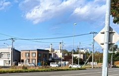 20261009Ouji
