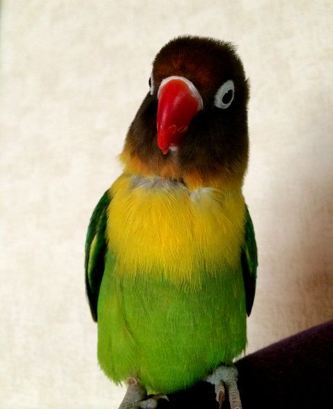 01