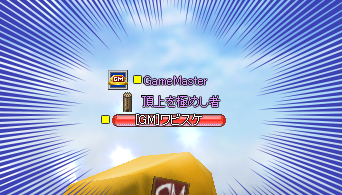 頂上