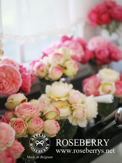 rose38