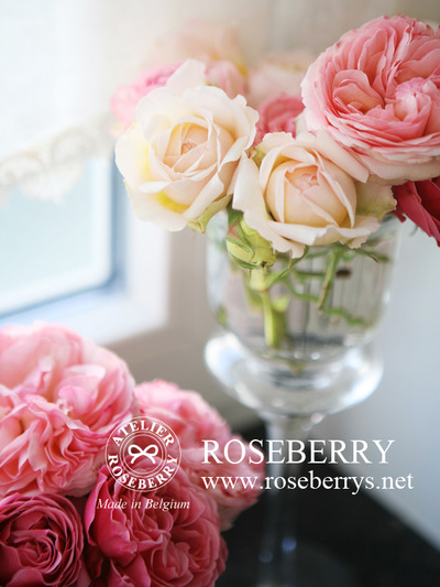 rose39