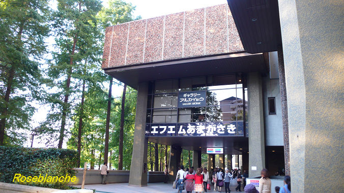 Le Roman de Rose 別館                Roseblanche