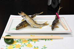 2025-05-04_18.45.43_NIKON Z 6_2 のコピー