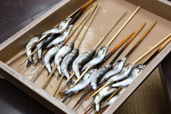 2025-05-04_18.56.58_NIKON Z 6_2 のコピー