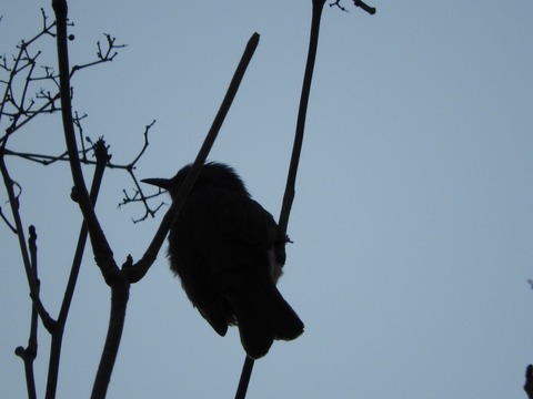 DSCN8143