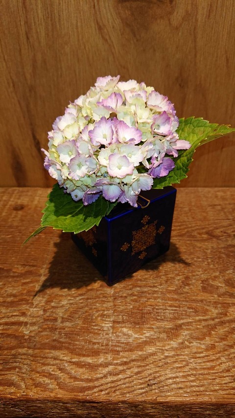 お花係便り