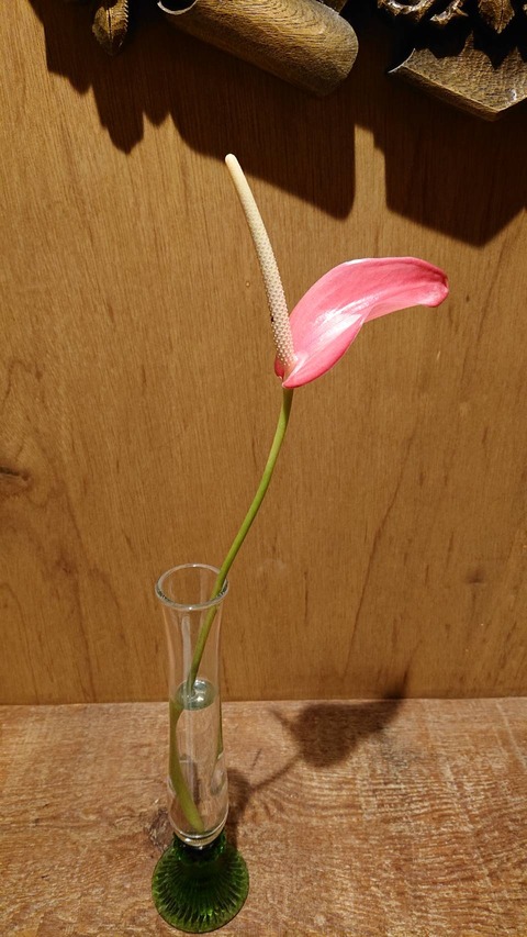 お花係便り