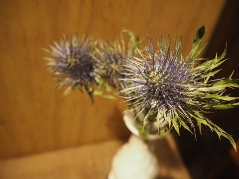お花係便り