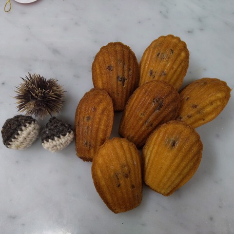 22-10-07-11-30-49-102_photo