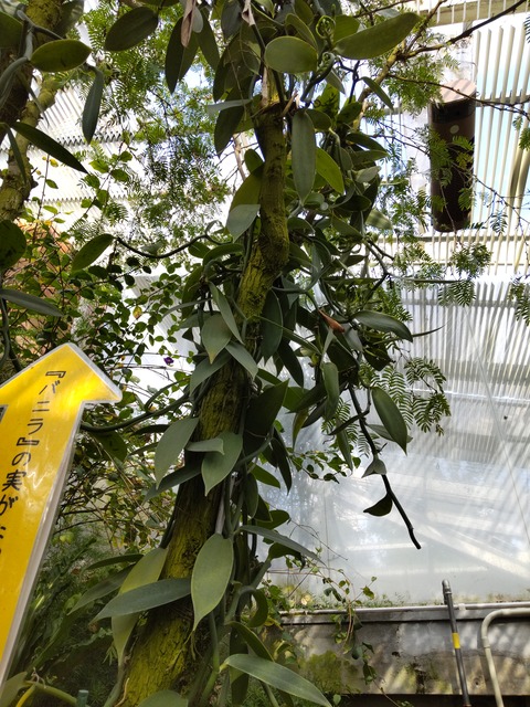 21-05-01-16-43-48-422_photo