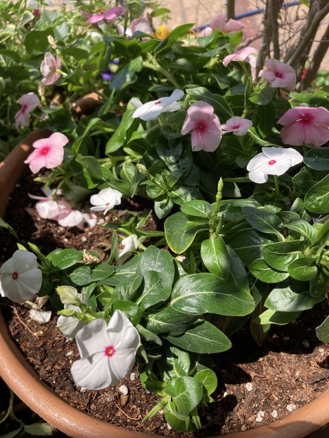 89C4912A-97CF-4CFD-8875-CA536B46EF5B