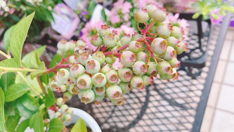 72483E4B-D4B4-4EDE-A1D5-43EE125D1E5D