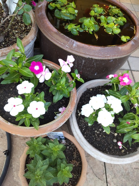 21-05-22-18-41-41-799_photo