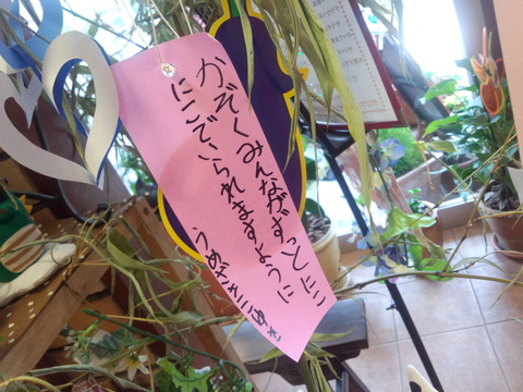 566e6753.jpg