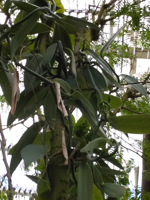 21-05-01-16-44-18-403_photo