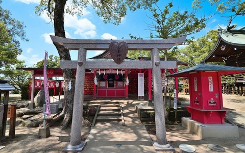 large_d6943f91-f211-4dc2-b4ec-514b15256627 (1)