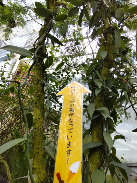 21-05-01-16-43-15-304_photo