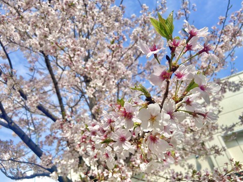 C9108908-4354-478C-99E4-007C749E0728