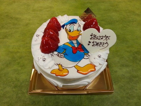 6f139003.jpg