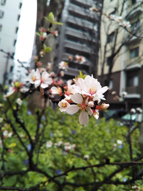 20-03-26-09-09-48-799_photo