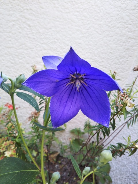 20-06-16-10-08-17-509_photo