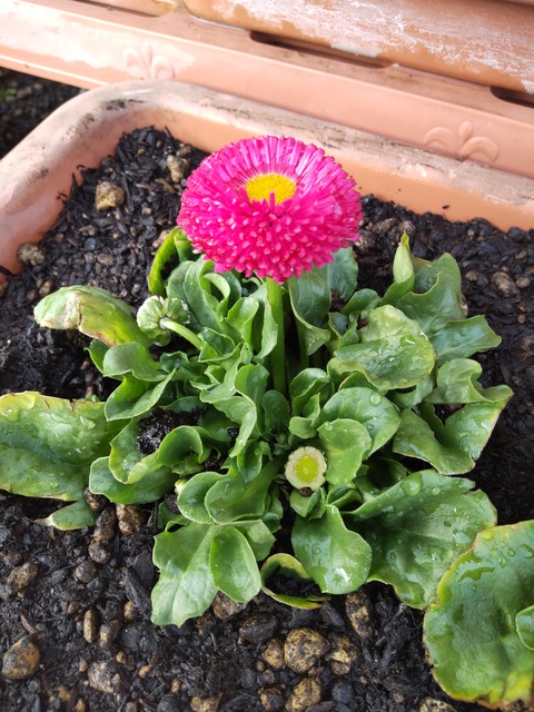 22-02-18-17-24-50-005_photo