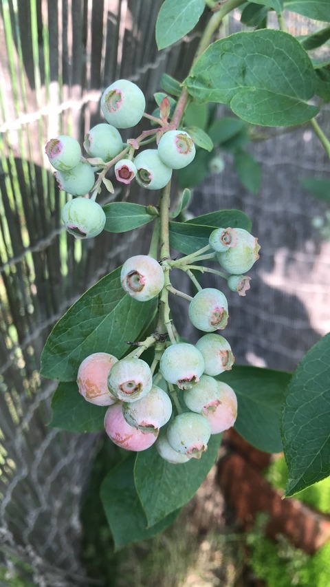 D2A2CEC1-CA46-4625-AFAE-EFBD838AFAEA