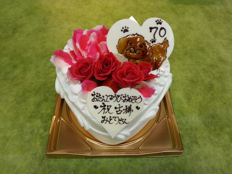 c945d1aa.jpg