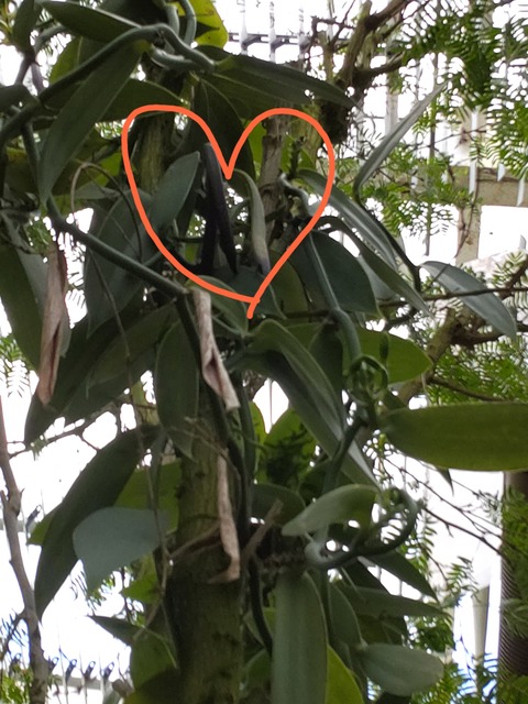 21-05-06-21-56-28-832_deco