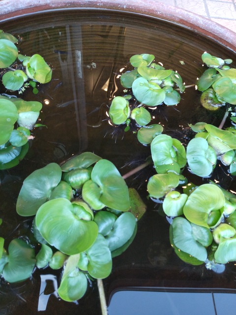 21-05-22-18-41-54-874_photo