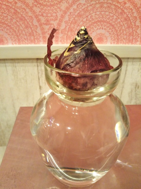 20-10-28-10-49-00-266_photo