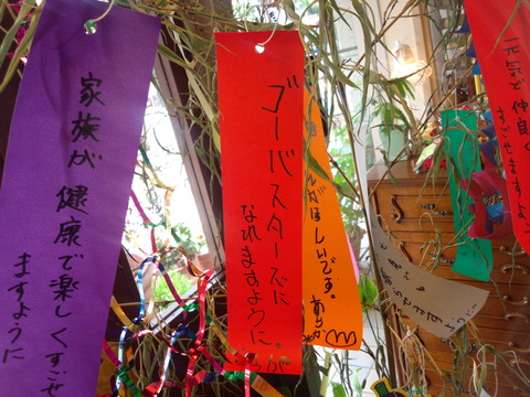 f7860644.jpg